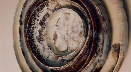 Close-up of a Dinosaur Designs resin bowl with swirling marbled earth tones.
