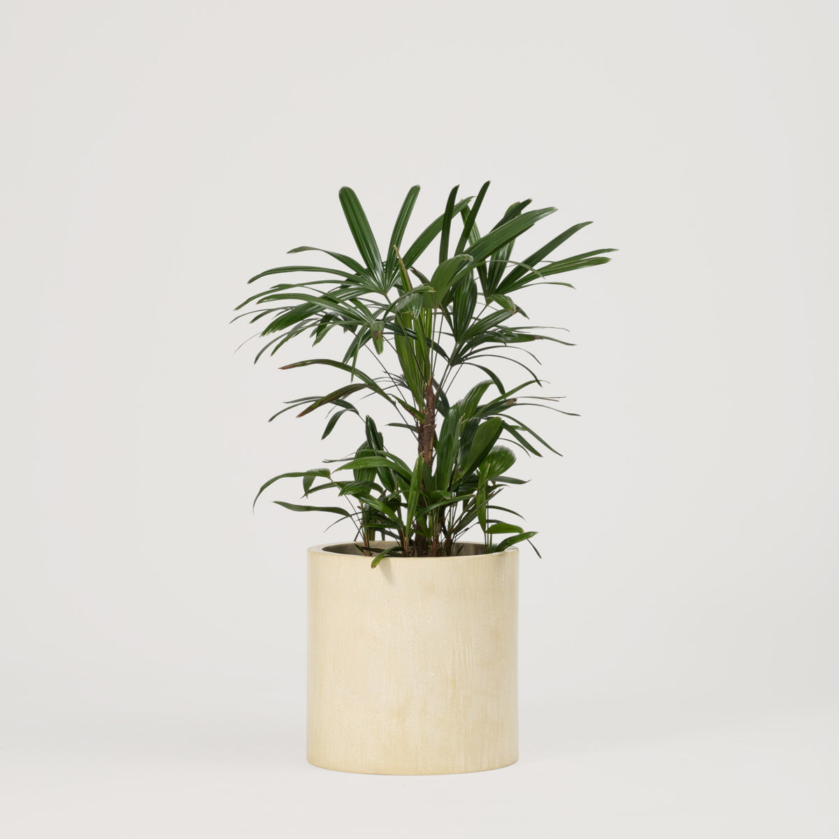 Nero Planter, Micro-Cement Pot