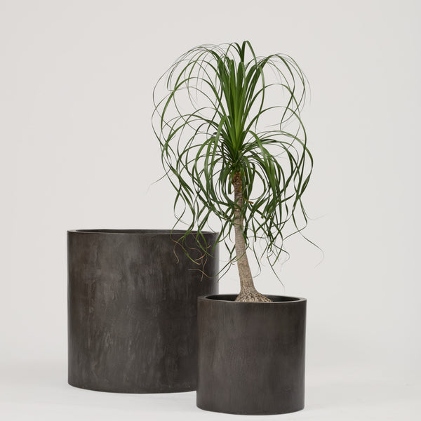 Nero Planter, Micro-Cement Pot