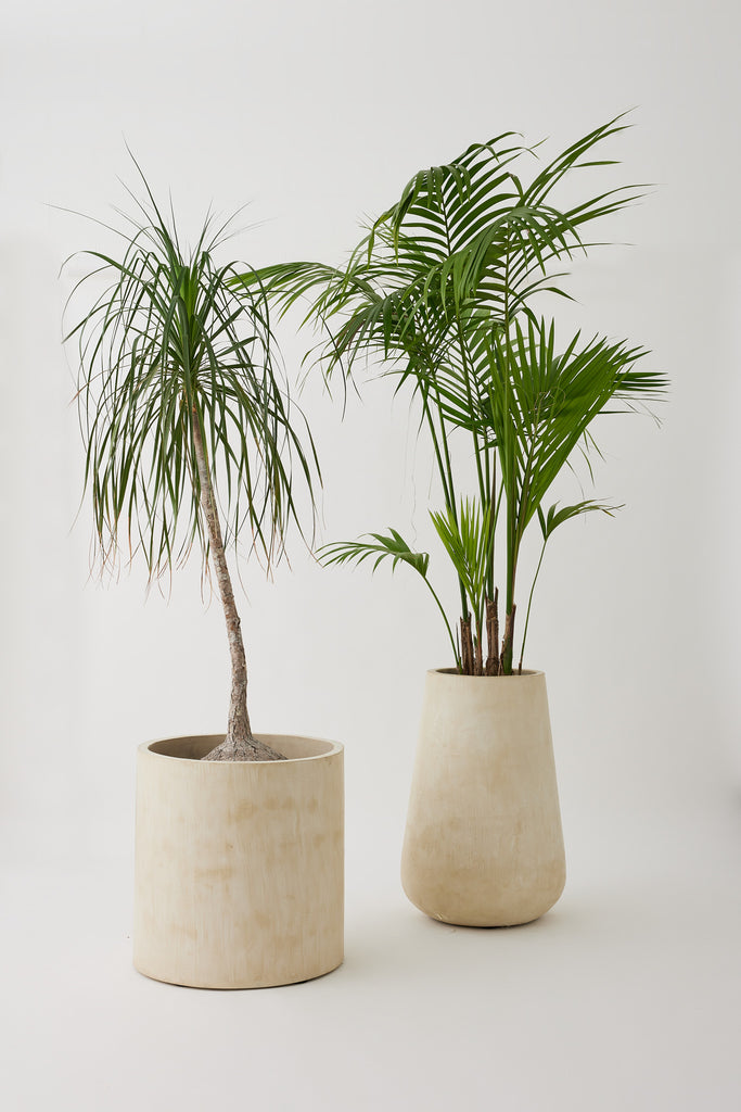 Alba Round Planter – Micro Cement Pot | Bodhi Living