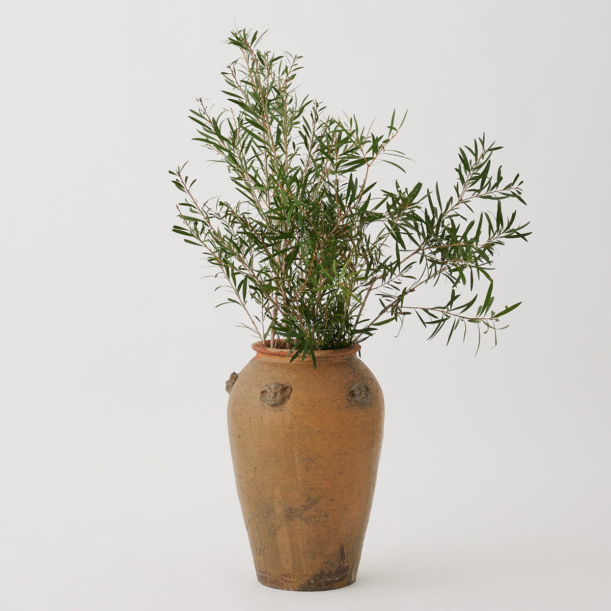 Vintage Moroccan pot