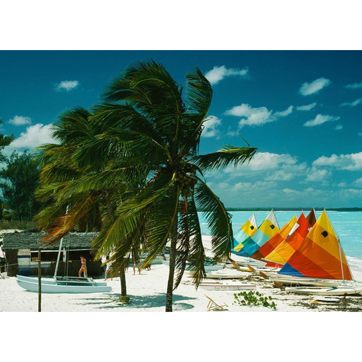 Treasure Cay Print by Slim Aarons