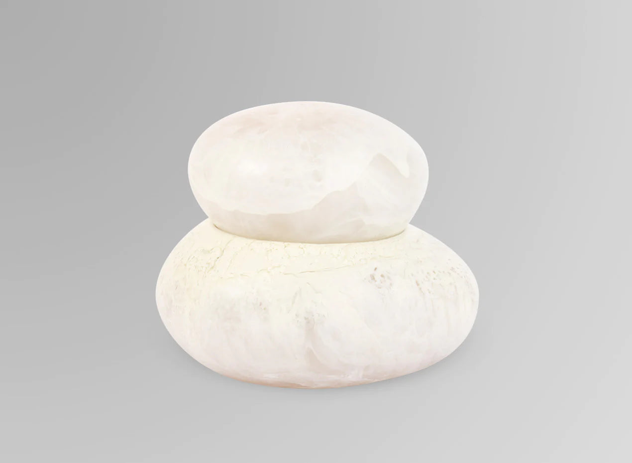 Dinosaur Design Resin pebble jar