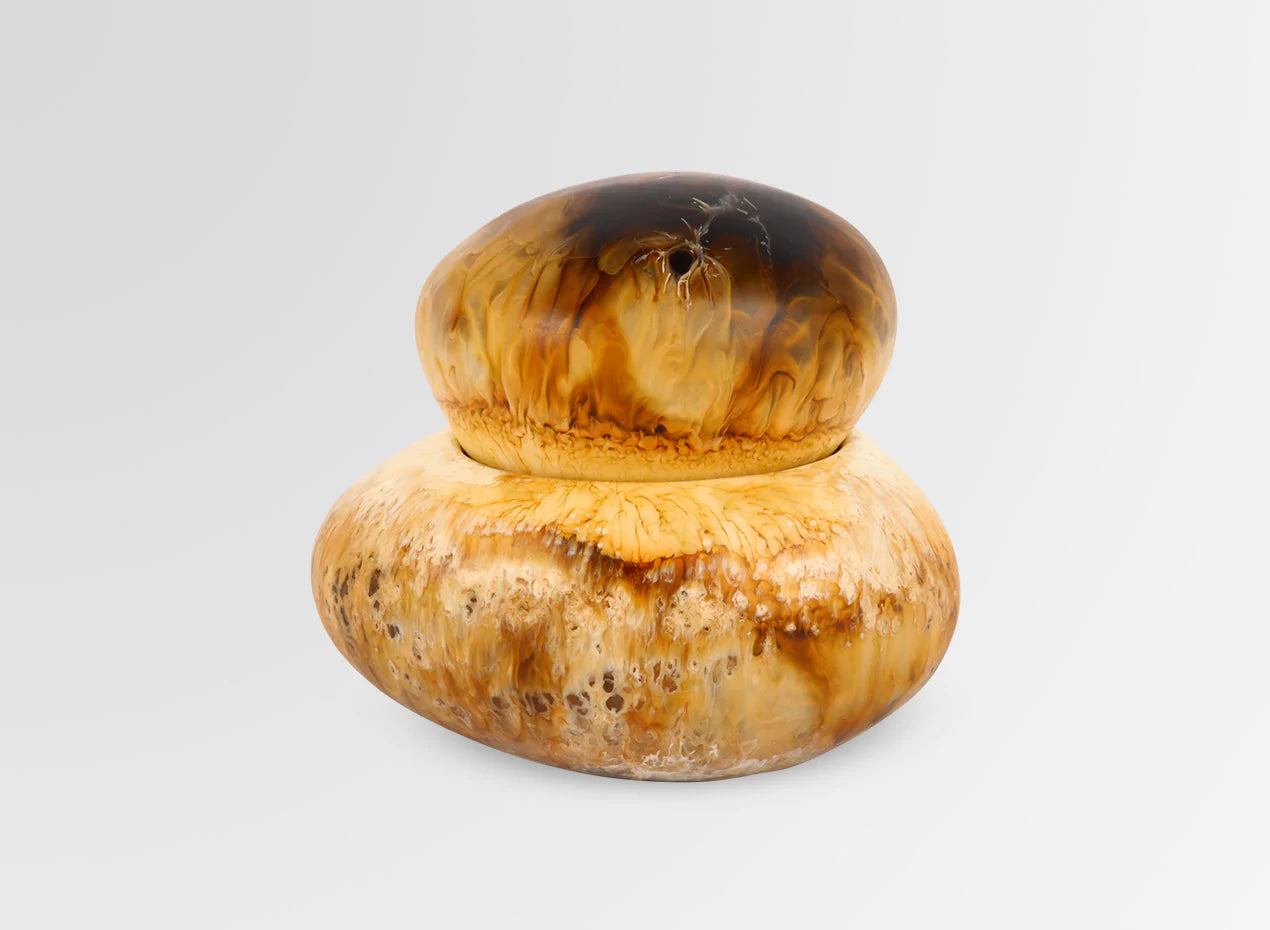 Dinosaur Design Resin pebble jar