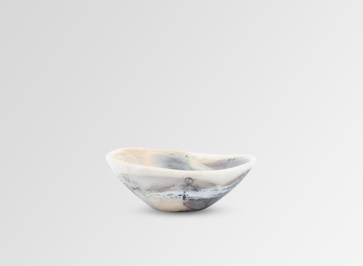 Dinosaur Design Dish