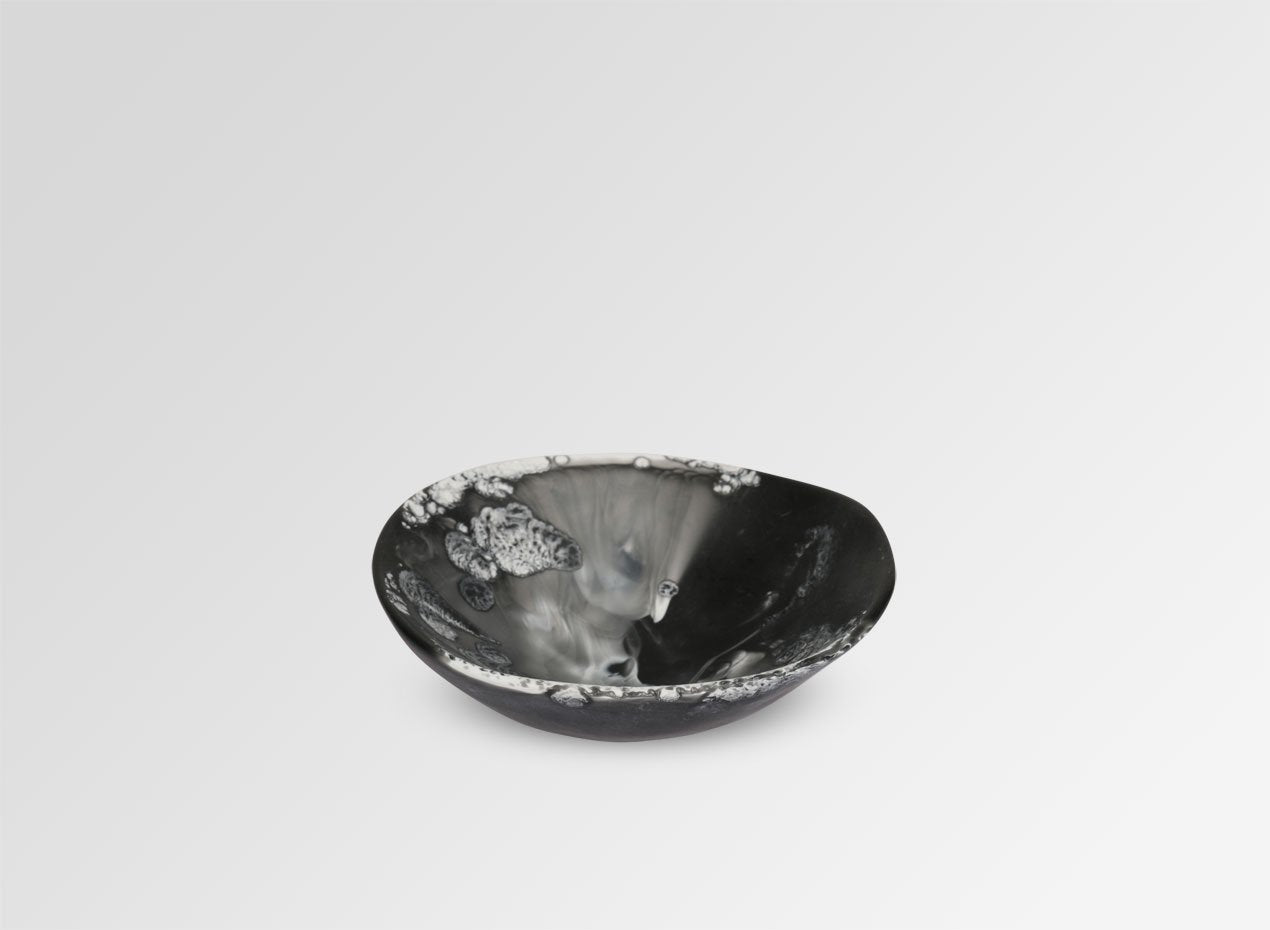 Dinosaur Design Dish