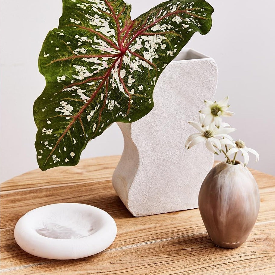 Dinosaur Design Resin dish